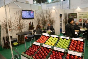 AJApple - Grupa Hodowlana - prezentowała nowe odmiany jabłoni oraz materiał szkółkarski
