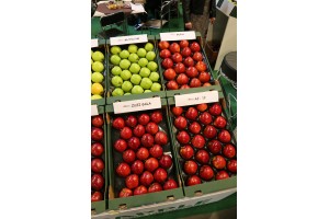 AJApple - Grupa Hodowlana - prezentowała nowe odmiany jabłoni oraz materiał szkółkarski