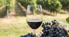 Wnioski o wpis do ewidencji producentów wyrabiających wino do 15 lipca 