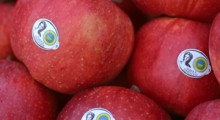 Jabłka Grójeckie zostały wyróżnione przez Komisję Europejską