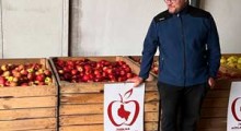 Sprzedaż bezpośrednia jabłek z gospodarstwa. Marcin Molski