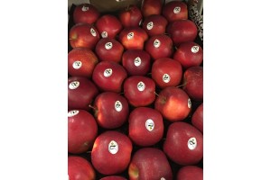 Jabłka Grójeckie - Red Jonaprince