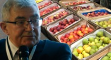 Jak zmienić standard opakowania w jabłkach ? - Janusz Byliński