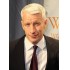 SilverFox