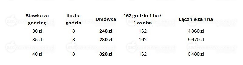 Tabela 2. Zarobek miesięczny dla 30,35 i 40 zł na godzinę cięcia drzew.