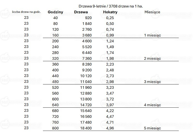 Sadownictwo.com.pl - Tabela 4. Kalkulacja godzin i powierzchni cięcia jednej osoby.