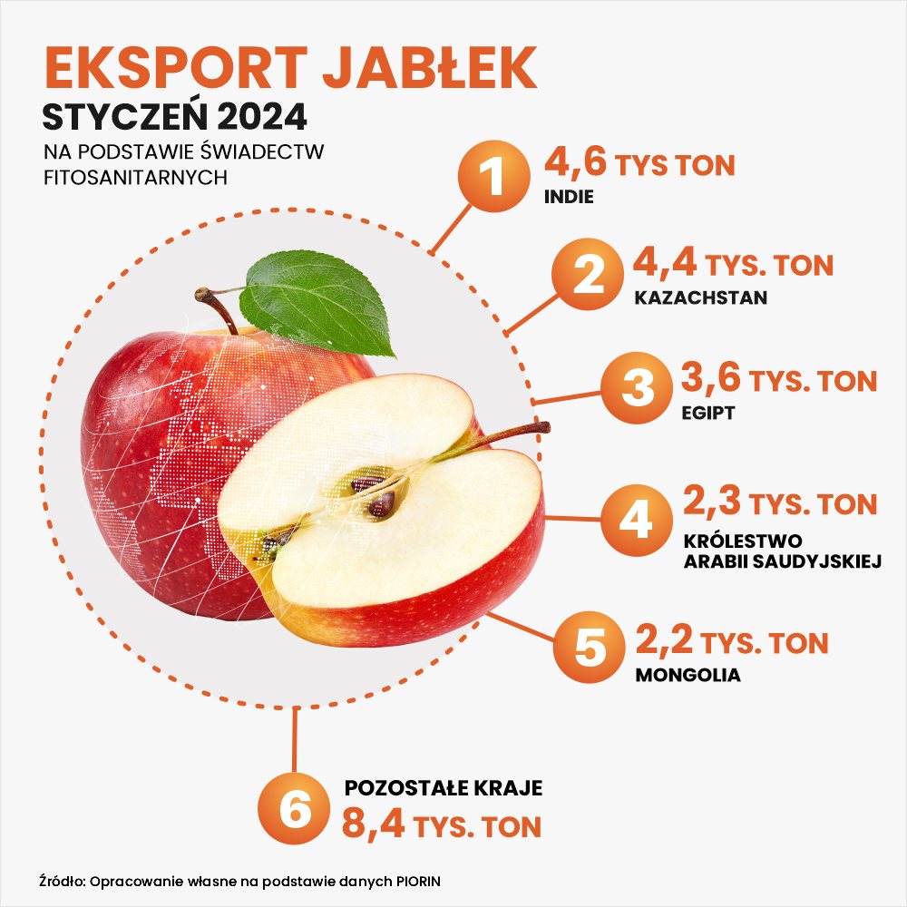 Eksport jabłek - styczeń 2024