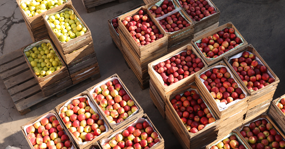 Zmiany cen jabłek deserowych 