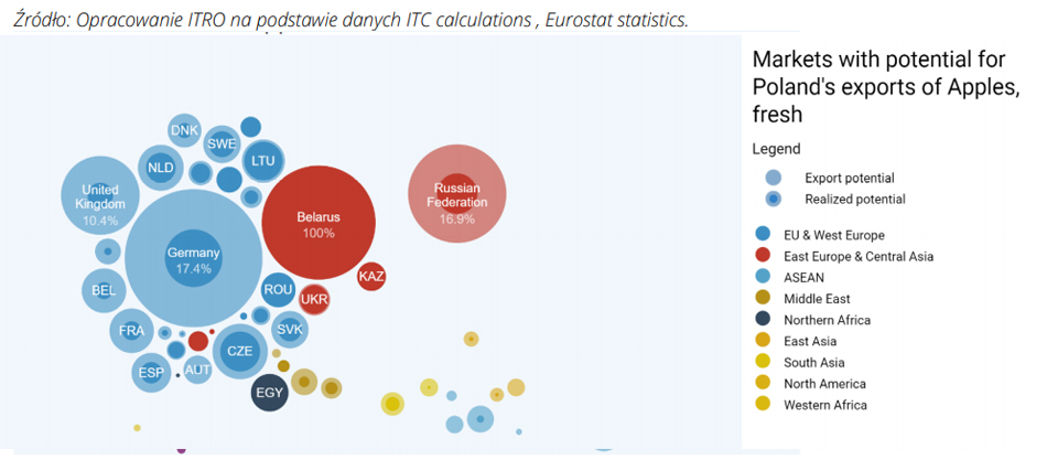 Rynek eksportowych dla polskiego jabłka w 2019 roku.