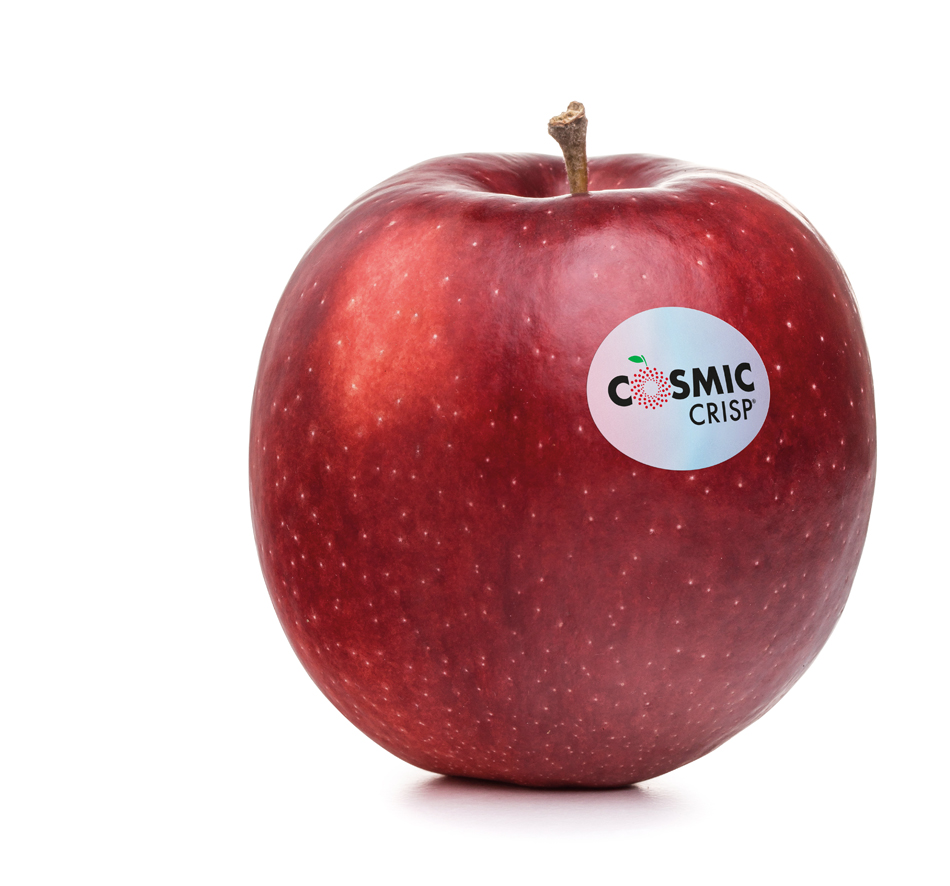 jabłka - Odmiana jabłoni – Cosmic Crisp