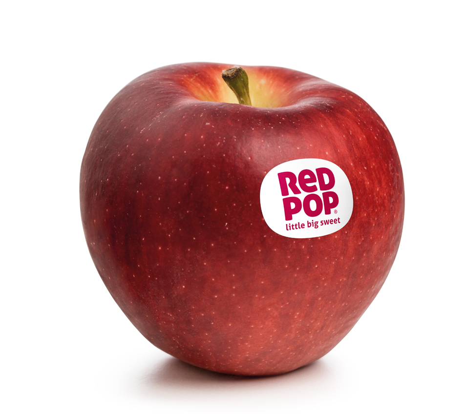 jabłka - Odmiana jabłoni  – RedPop