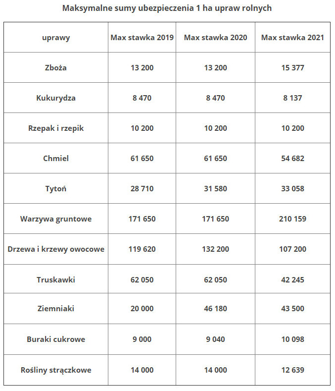 Nie będzie pomocy Państwa w razie wystąpienia anomalii pogodowych ?! 