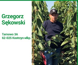Grzegorz Sękowski