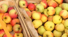 Polskie jabłka dla singapurskiego konsumenta