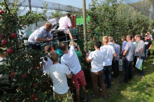 Pokaz pracy platform i kombajnów do zbioru jabłek w sadzie