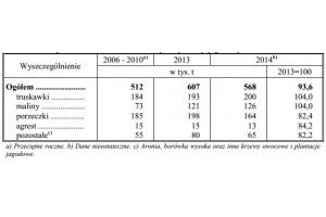 GUS 2014 - zbiory owoców z krzewów owocowych i plantacji jagodowych