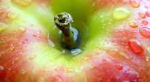 TRSK: Trzecia rewolucja w produkcji i dystrybucji jabłek