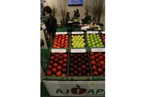 AJApple - Grupa Hodowlana - prezentowała nowe odmiany jabłoni oraz materiał szkółkarski