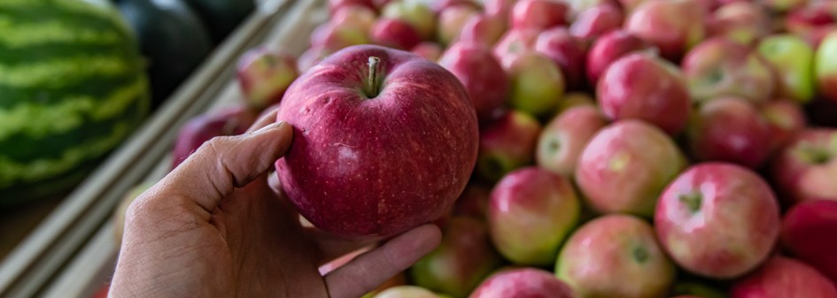 Ceny jabłek w woj. mazowieckim wzrosły o 74% 