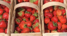 15 maja na „Giełdzie Goławin” rusza sezon truskawkowy 