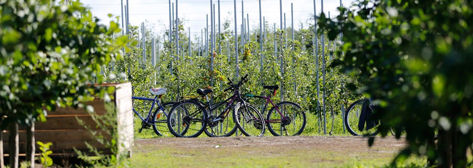 Zmiana warunków pracy cudzoziemców z powodu COVID-19