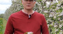 Komunikat sadowniczy – 4.05.2020 - Robert Binkiewicz, Agrosimex