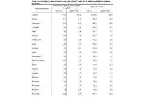  Powierzchnia uprawy jabłoni i zbiory jabłek w sadach według odmian w 2019 r.