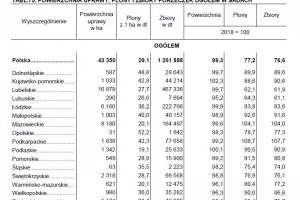  Powierzchnia uprawy, plony i zbiory porzeczek ogółem w sadach 