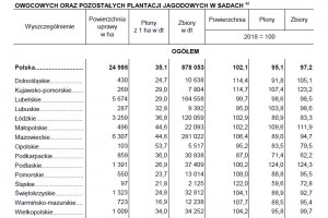  Powierzchnia uprawy, plony i zbiory pozostałych owoców z krzewów owocowych i plantacji jagodowych w sadach 