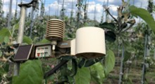 Temperatura powietrza (przymrozki) - 12/13.05 2020