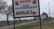 NOWE zasady handlu na „Giełdzie Goławin” 