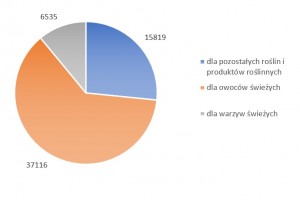  Wykres. Struktura ilościowa świadectw fitosanitarnych w odniesieniu do asortymentu, wydanych w 2019 r.