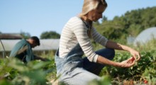 Testy dla pracowników sezonowych jednak BEZPŁATNE ! 