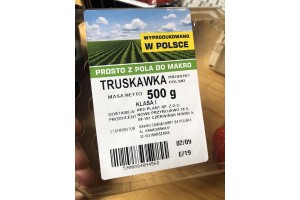  Truskawki - Grupa producentów owoców Red Plant Sp. z o.o.