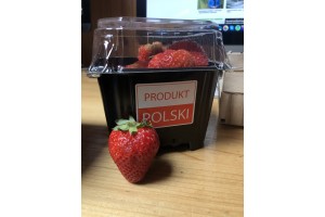  Truskawki - Grupa producentów owoców Red Plant Sp. z o.o.