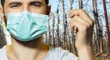 INSTRUKCJA wykonania testu na koronawirusa u prawników sezonowych