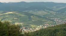 Tańszy prąd dla sadowników ? 