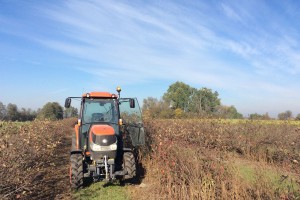 Niewątpliwym pomocnikiem na plantacji jest ciągnik Kubota L5040