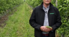 Komunikat sadowniczy - 10.06.2020 - Robert Binkiewicz, Agrosimex