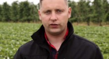 Komunikat jagodowy - 10.06.2020 - Tomasz Domański, Agrosimex