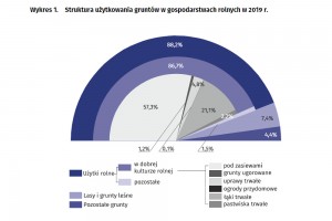  Struktura użytkowania gruntów w gospodarstwach rolnych w 2019 r. 