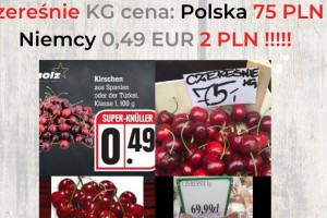  Czereśnie - KG cena Polska 75 PLN, Niemcy 0,49 EUR