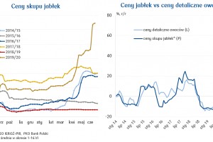  Ceny jabłek vs. ceny detaliczne owoców