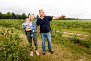  1 lipca – Dzień Polskiej Borówki