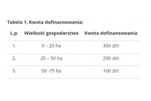  Kwota dofinansowania: