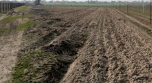 Dofinansowanie do wapnowania gleby – trwa nabór wniosków 