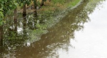 Chynów: Przedłużenie terminu przyjmowania wniosków o oszacowanie szkód 