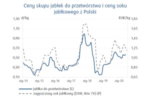  Ceny skupu jabłek do przetwórstwa i ceny soku jabłkowego z Polski