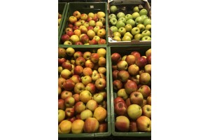  Jabłek w sklepie Intermarche