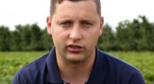 Komunikat truskawkowy - 15.07.2020 - Tomasz Domański, Agrosimex